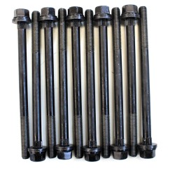 Cylinder Head Bolts for Mini 1.6 Petrol 