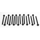 Citroen C5 & C6 2.7 & 3.0 HDi Head Bolt Set