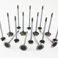 Inlet & Exhaust Valve Full Set for Mini 1.6 Petrol 