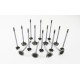 Inlet & Exhaust Valve Full Set for Mini 1.6 Petrol 