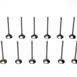 Full Set of Inlet & Exhaust Valves for Mini 2.0 Cooper D / SD - B47C20A, B47C20B, N47C20A