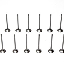 Full Set of Inlet & Exhaust Valves for BMW 2.0 Diesel B47 & N47