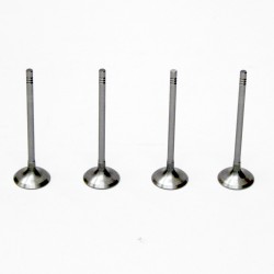 Set of 6 Inlet Valves for BMW 1.5 116d, 214d, 216d​ B37C15A & B37D15A