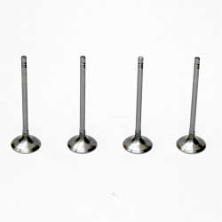 Set of 6 Inlet Valves for BMW 1.5 116d, 214d, 216d​ B37C15A & B37D15A