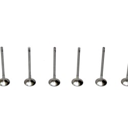 Set of 12 Exhaust Valves for BMW 3.0 Diesel B57 & N57 D30