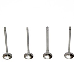 Set of 6 Exhaust Valves for BMW 1.5 116d, 214d, 216d​ B37C15A & B37D15A