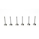 Set of 6 Exhaust Valves for BMW 1.5 116d, 214d, 216d​ B37C15A & B37D15A