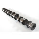 Exhaust Camshaft for Vauxhall 1.2 Petrol 