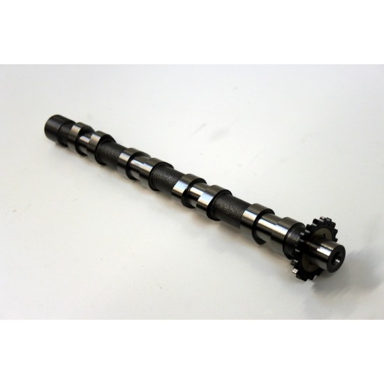 Inlet Camshaft for Peugeot 307, 308, 407, 607, 807 & Expert 2.0 HDi DW10