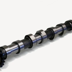 Exhaust Camshaft for Peugeot 307, 308, 407, 607, 807 & Expert 2.0 HDi DW10 | 0801.AE