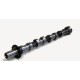 Exhaust Camshaft for Ford C-Max, Focus, Galaxy, Kuga, Mondeo & S-Max 2.0 TDCi 