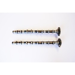 Inlet & Exhaust Camshafts for BMW 2.0 