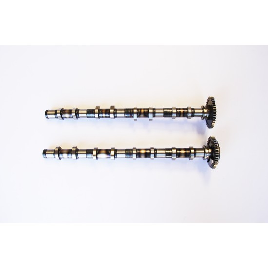 Inlet & Exhaust Camshafts for BMW 2.0 