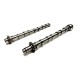 Pair of Camshafts for Citroen C4, C5, Dispatch, DS4, DS5, Jumpy & Relay 2.0 HDi / BlueHDi DW10F