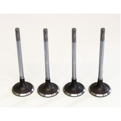 4 x Inlet Valves for Citroen 1.6 HDi