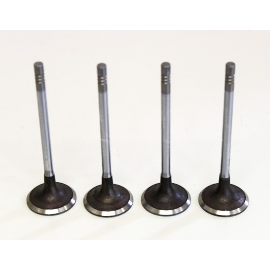4 x Inlet Valves for Citroen 1.6 HDi