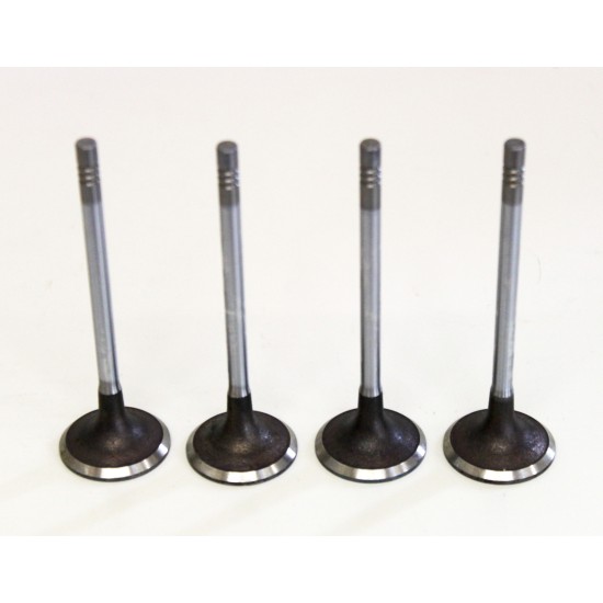 4 x Inlet Valves for Volvo 1.6 Diesel 