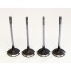 4 x Inlet Valves for Citroen 1.6 HDi