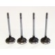 4 x Inlet Valves for Volvo 1.6 Diesel 