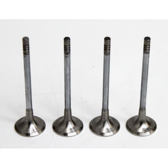 A Set of 4 Exhaust valves for the Citroen 1.6 HDi