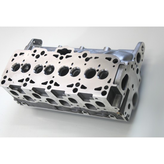 Cylinder Head for Audi A3, A4 & A6 1.9 & 2.0 TDi