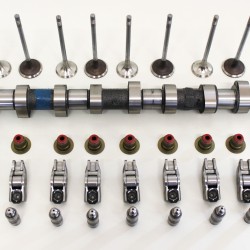 Full Camshaft Kit with Valves to fit Volvo 1.6 8v D2 & DRIVe D4162T | 31330194