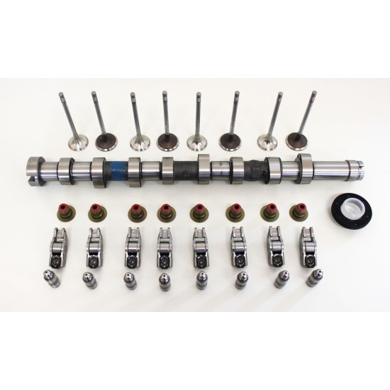 Full Camshaft Kit with Valves to fit Volvo 1.6 8v D2 & DRIVe D4162T | 31330194