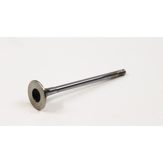 Exhaust Valve for Peugeot 1.4 Petrol 