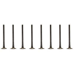 Ford B-Max, C-Max, Fiesta, Fusion, Focus & Mondeo 1.4 & 1.6 16v Petrol Set of 8 Exhaust Valves