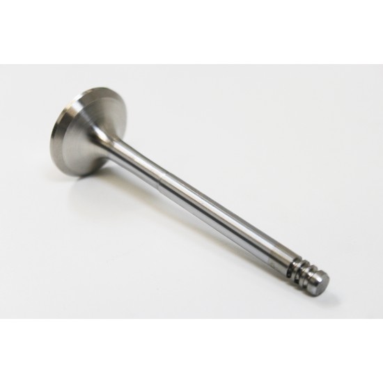 Exhaust Valve for Seat 1.9 TDi 
