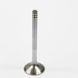 Exhaust Valve for Volkswagen 1.9 TDi 