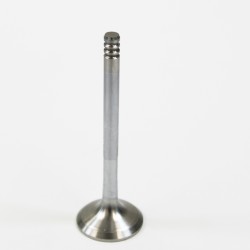 Audi A3, A4, A6 & Cabriolet 1.9 TDi Exhaust Valve