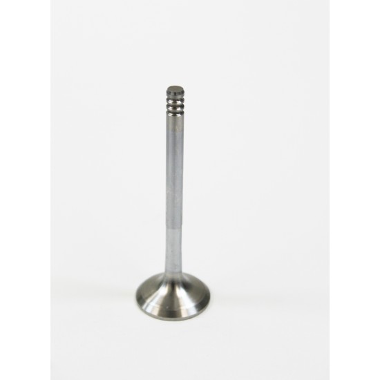 Audi A3, A4, A6 & Cabriolet 1.9 TDi Exhaust Valve