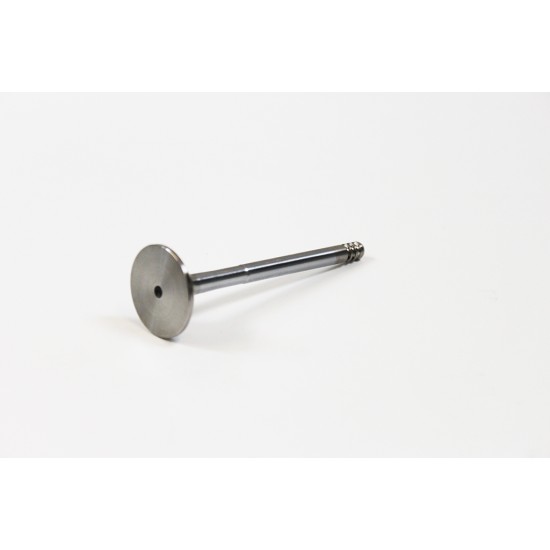 Exhaust Valve for Seat 1.9 TDi 