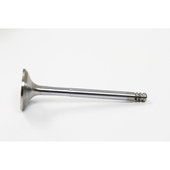 Exhaust Valve for Seat 1.9 TDi 