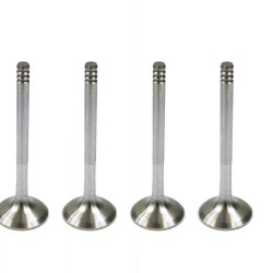 Set of 4 Exhaust Valves for Audi 1.9 TDi 