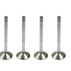 Seat Alhambra, Cordoba, Ibiza, Leon, Toledo 1.9 TDi Set of 4 Exhaust Valves