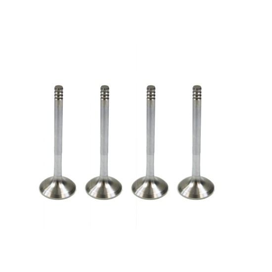 Seat Alhambra, Cordoba, Ibiza, Leon, Toledo 1.9 TDi Set of 4 Exhaust Valves