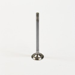 Exhaust Valve for Seat 1.2 12v | 1.4 & 1.6 16v TSI