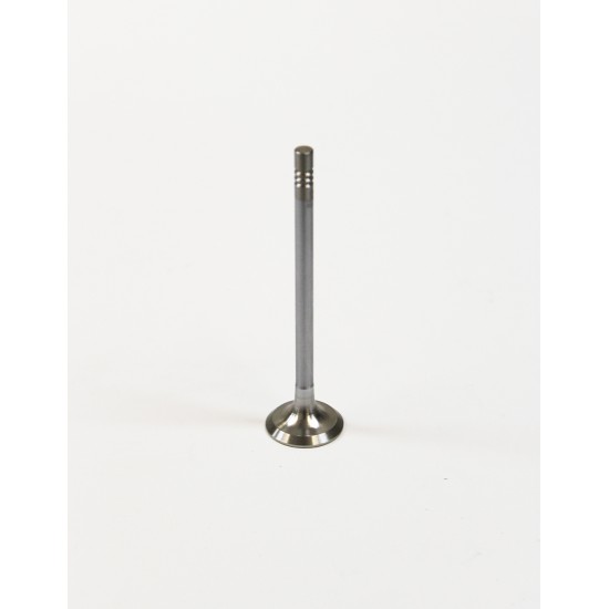 Exhaust Valve for Seat 1.2 12v | 1.4 & 1.6 16v TSI