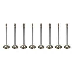 Set of 8 Exhaust Valves for Audi A1, A2, A3 1.4 & 1.6 16v FSi / TFSI