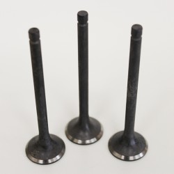 Smart 599c & 698cc Engine Exhaust valve SET