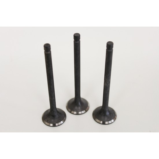 Smart 599c & 698cc Engine Exhaust valve SET