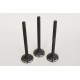 Smart 599c & 698cc Engine Exhaust valve SET