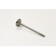 Exhaust Valve for Nissan Kubistar 1.6 16v K4M