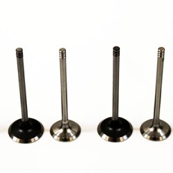 Dacia Dokker, Duster, Logan, Sandero & Lodgy 1.5 dCi K9K DCi Set of Inlet & Exhaust Valves