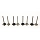 Dacia Dokker, Duster, Logan, Sandero & Lodgy 1.5 dCi K9K DCi Set of Inlet & Exhaust Valves