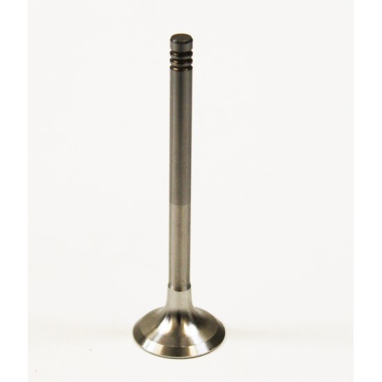 Exhaust Valve for Audi A3, A4 & A6 2.0 TDi 16v
