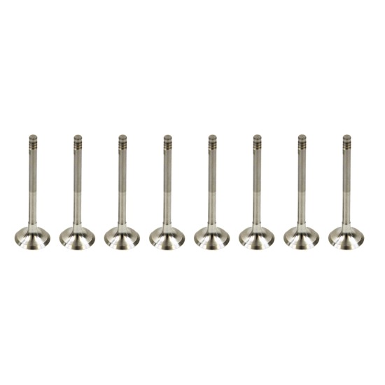 Set of 8 Exhaust Valves for Audi A3, A4 & A6 2.0 TDi 16v