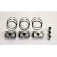 Set of 3 Pistons with Rings.50mm oversize for Ford 1.0 12v Ecoboost